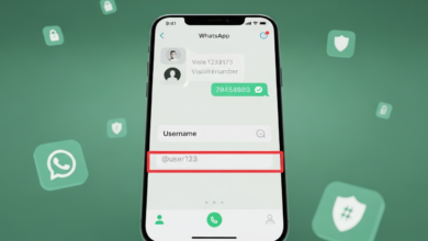 WhatsApp usernames feature 2026 privacy update interface